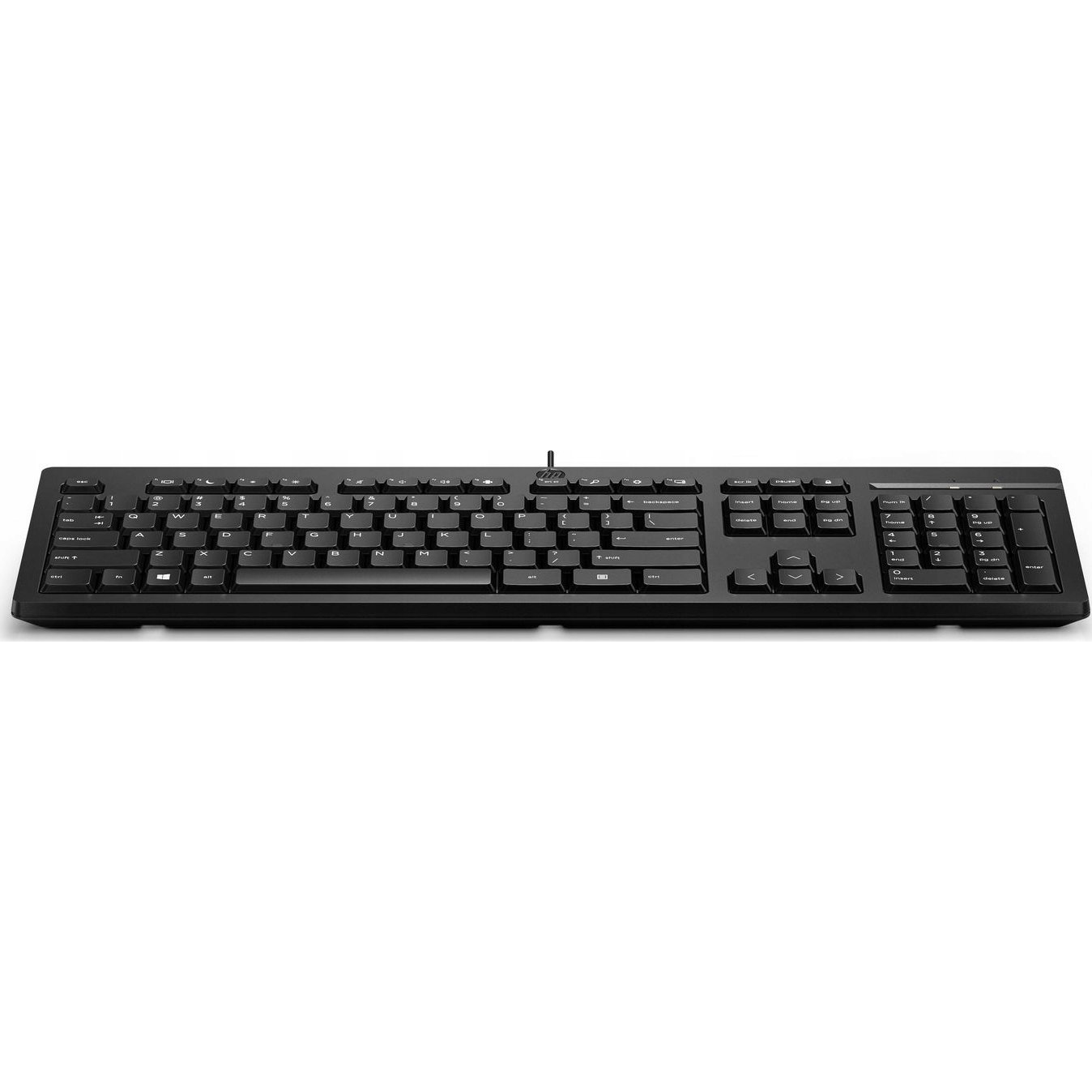 HP 125 USB Wired Keyboard tastaturi Negru (125 USB KEYBOARD Germany)