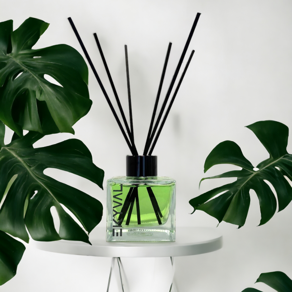 Melon - Mikado Air Freshener - 100ml