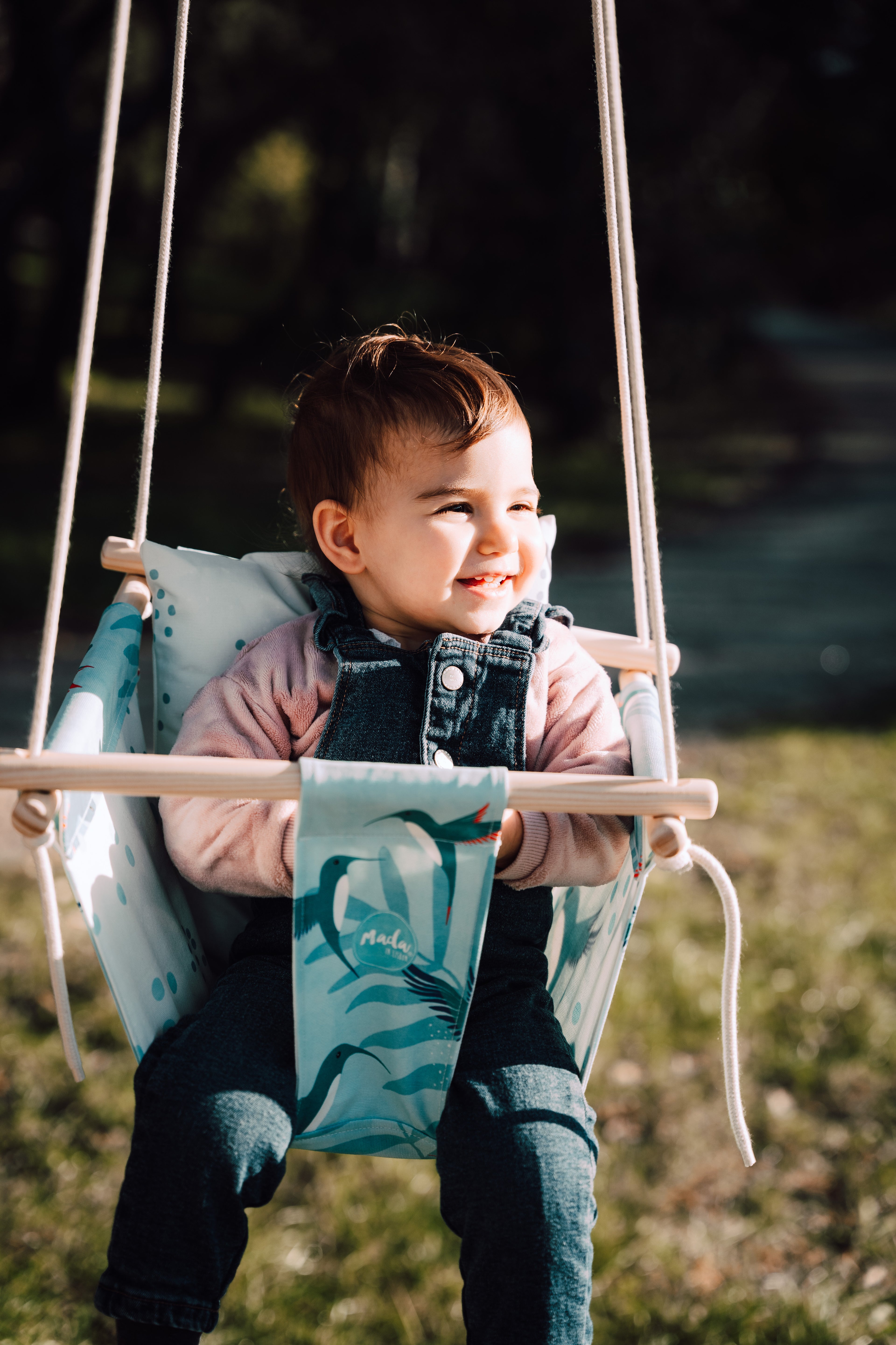 Blue Hummingbird BabySwing